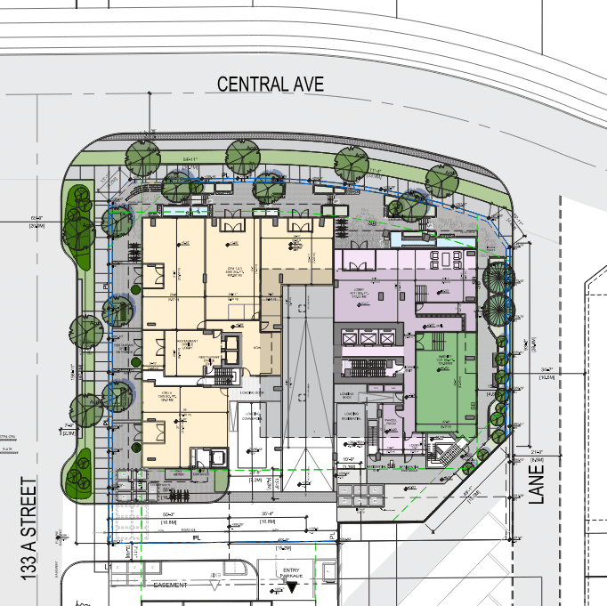 Site plan